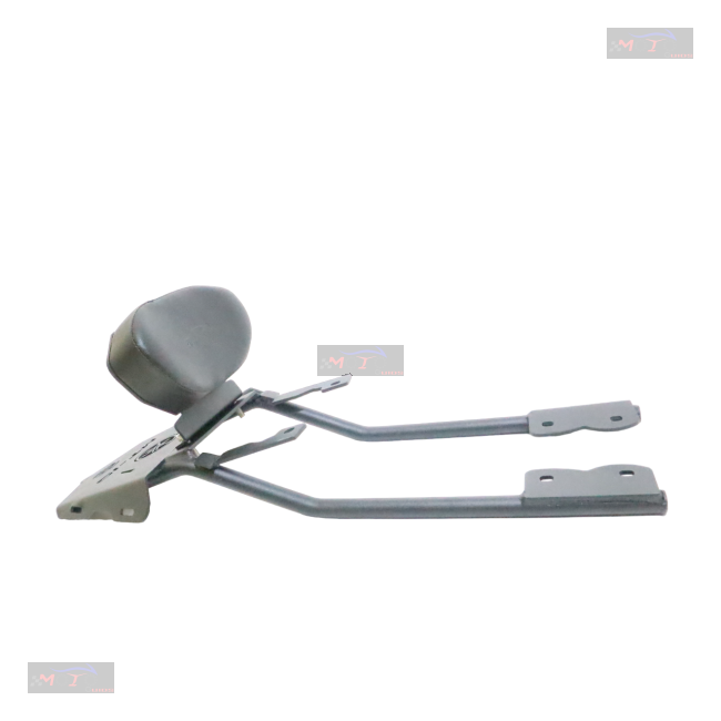 Carrier With Backrest For Mt-15